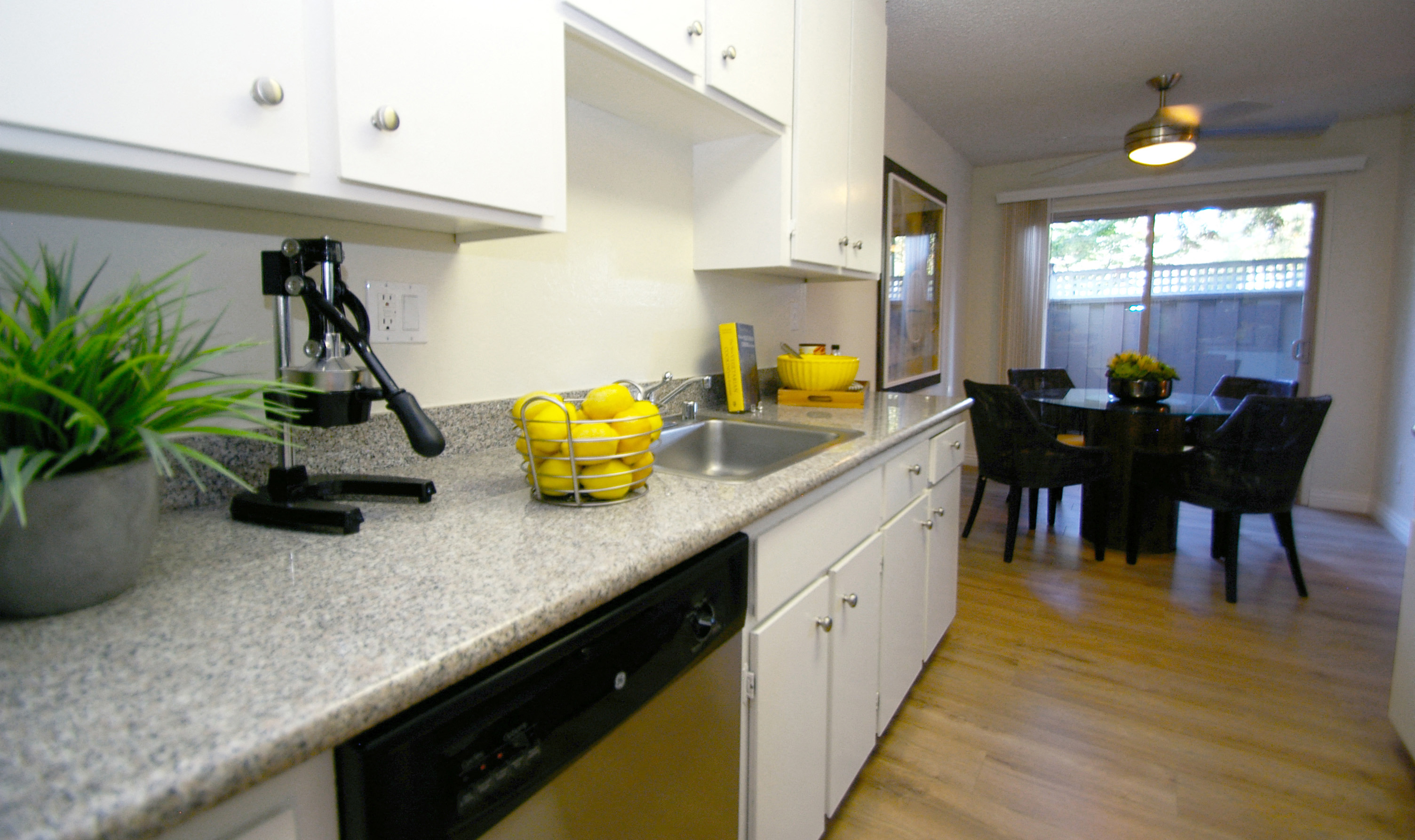 The Shadows Apartments photo 2